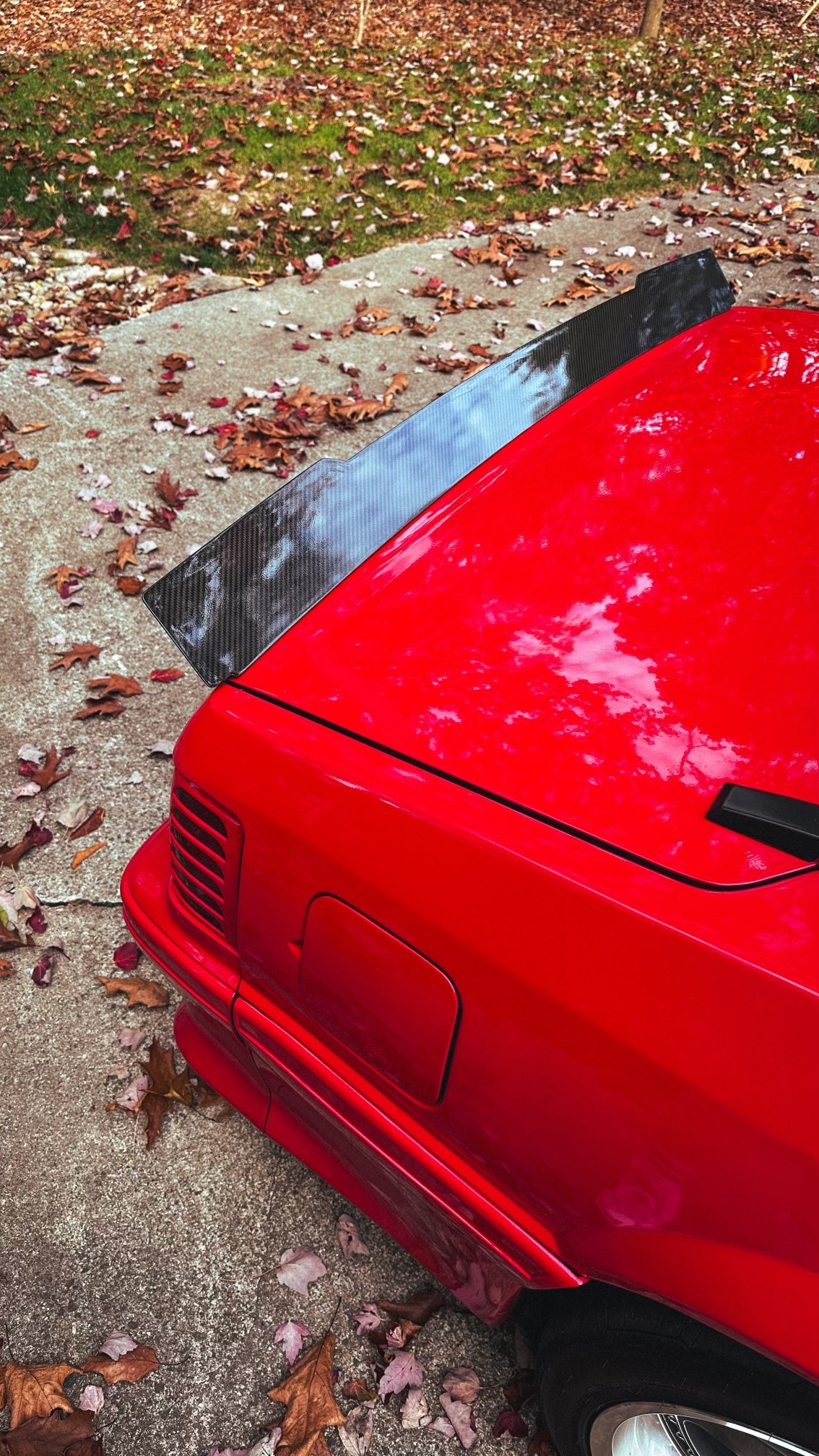 79-93 Mustang Coupe/Convertible Ducktail Spoiler (Carbon Fiber)