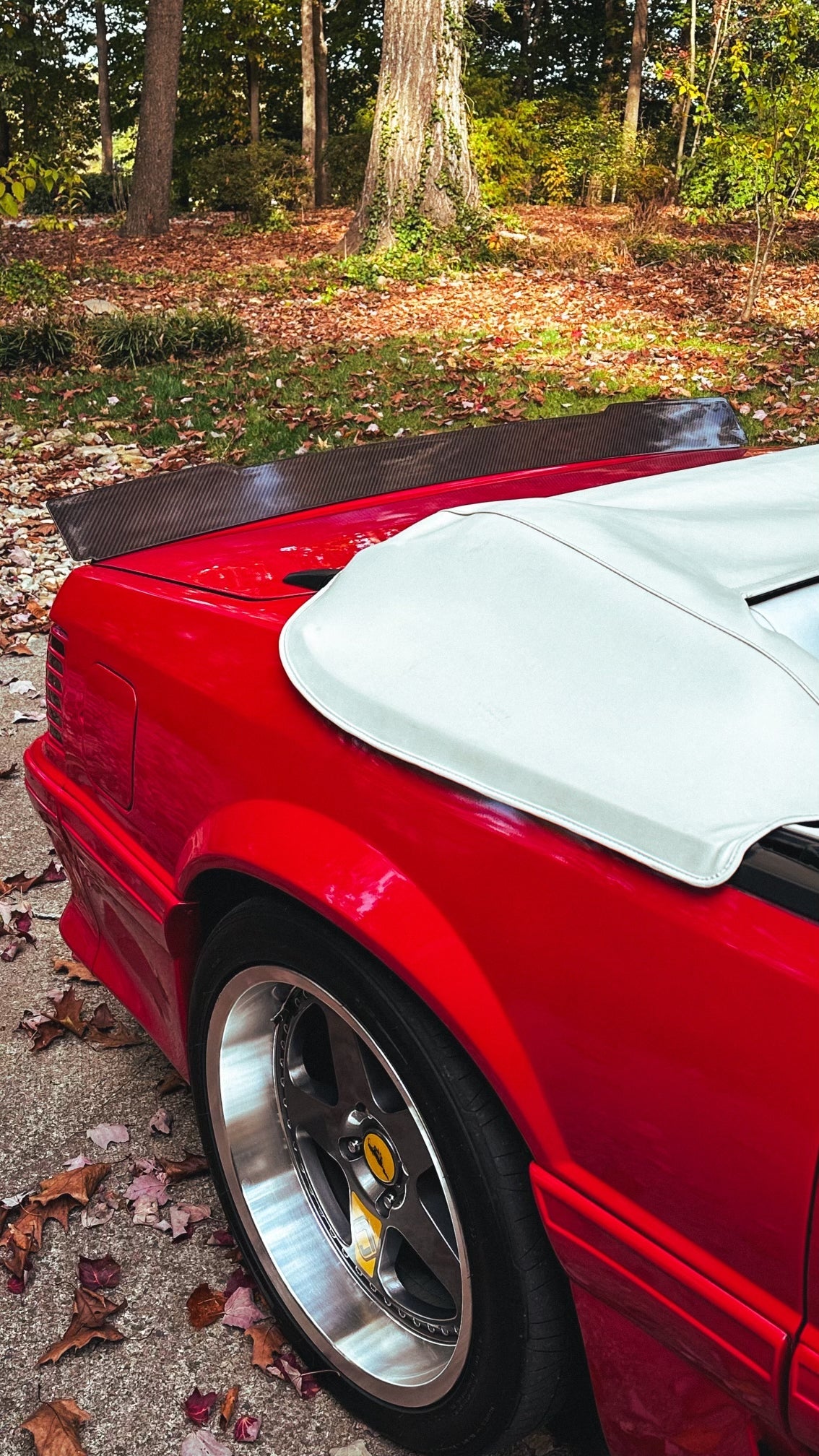 79-93 Mustang Coupe/Convertible Ducktail Spoiler (Carbon Fiber)