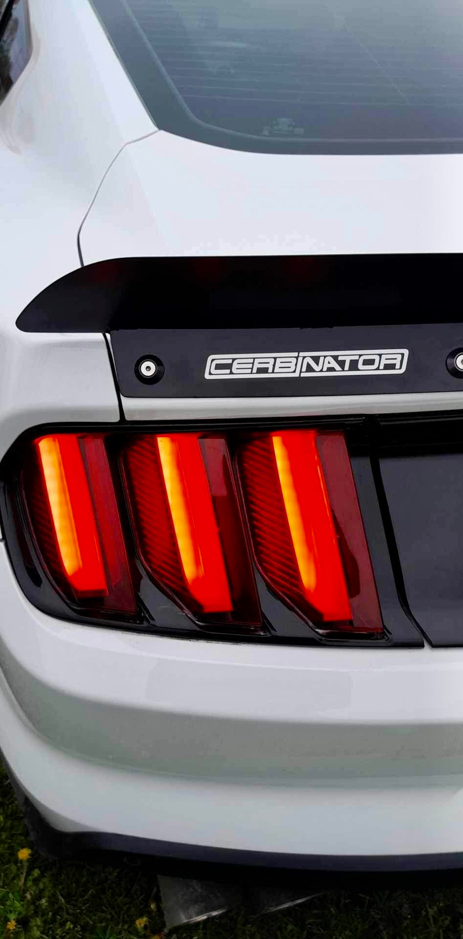 2015-2023 S550 Mustang Rear Spoiler (Welded Version)