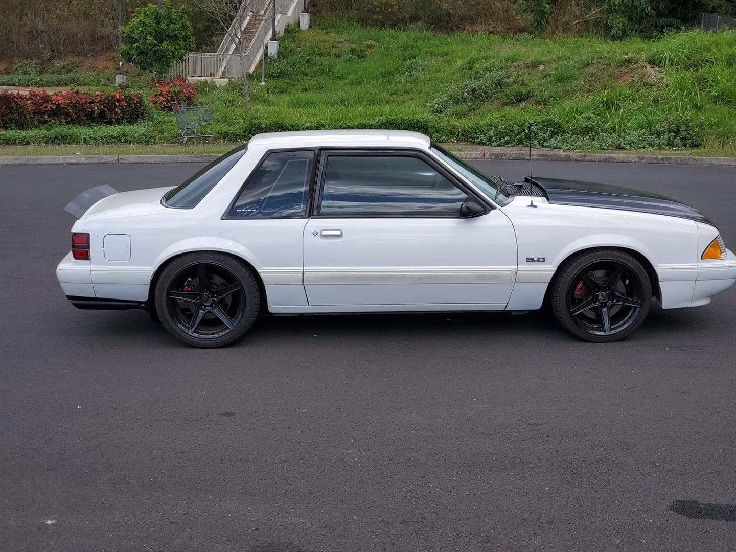 79-93 Mustang Coupe/Convertible Ducktail Spoiler (Welded Version)