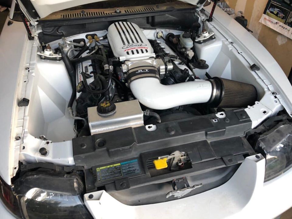 1986-2004 Mustang Fender Bolt Hardware Kit (Flat Head Bolts)