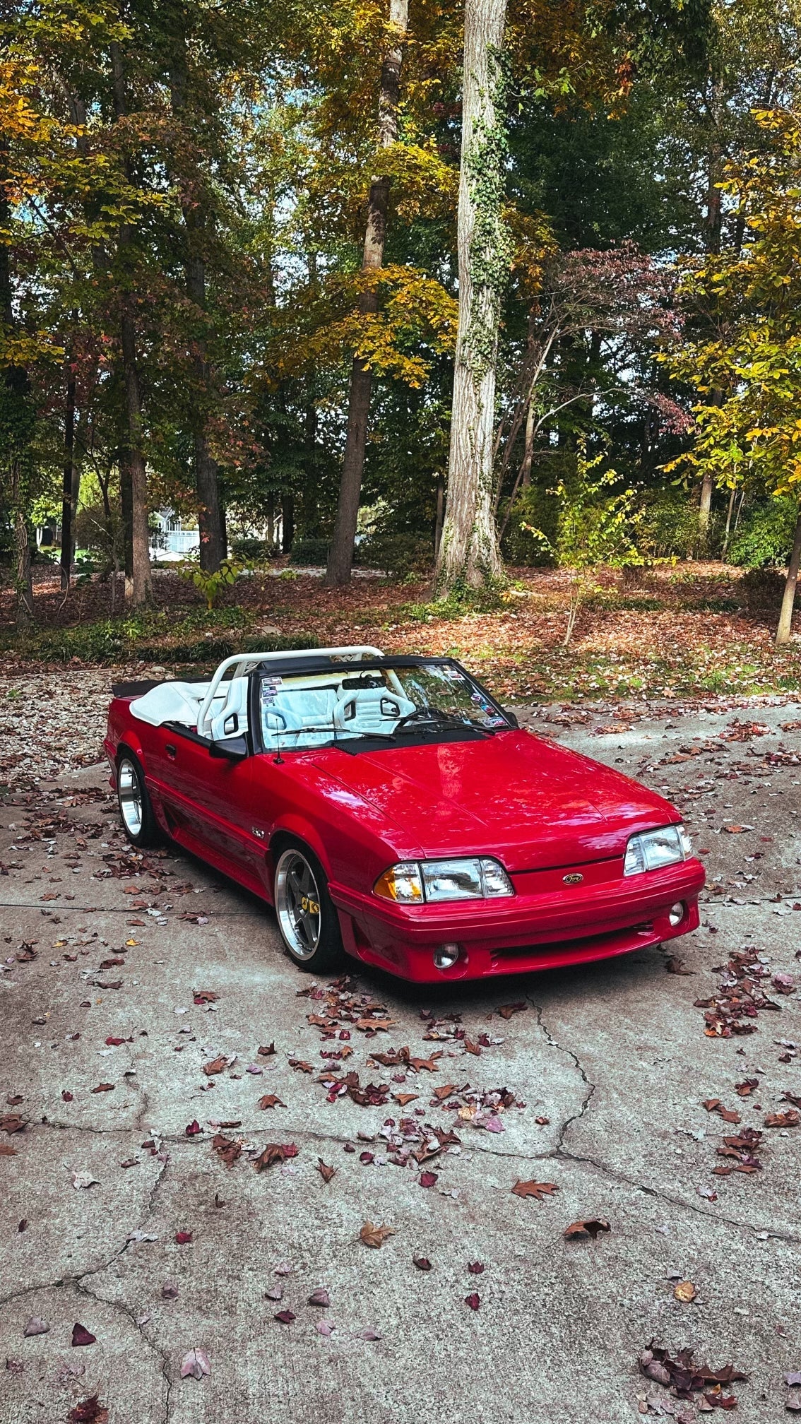 79-93 Mustang Coupe/Convertible Ducktail Spoiler (Carbon Fiber)