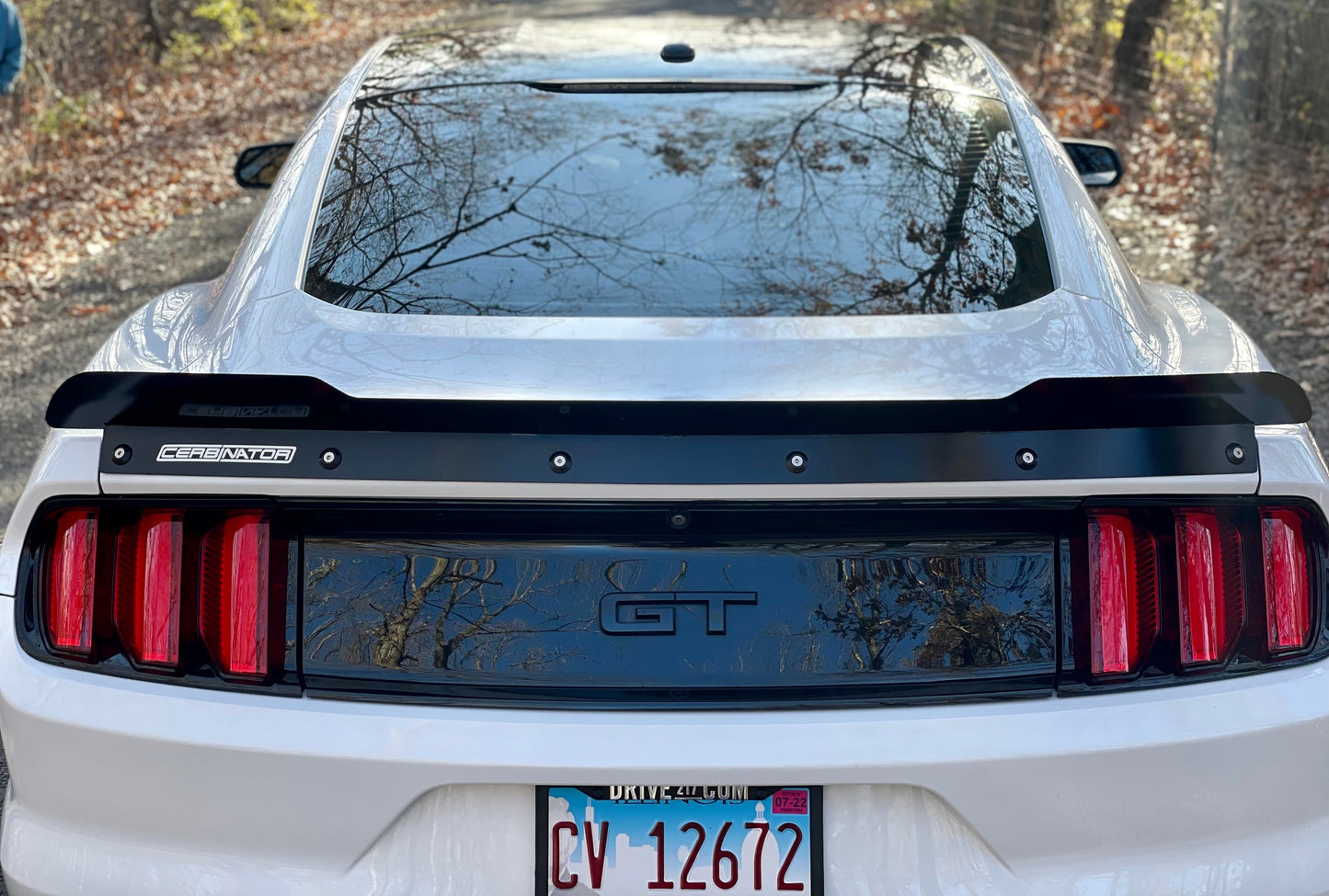 2015-2023 S550 Mustang Rear Spoiler (Welded Version)