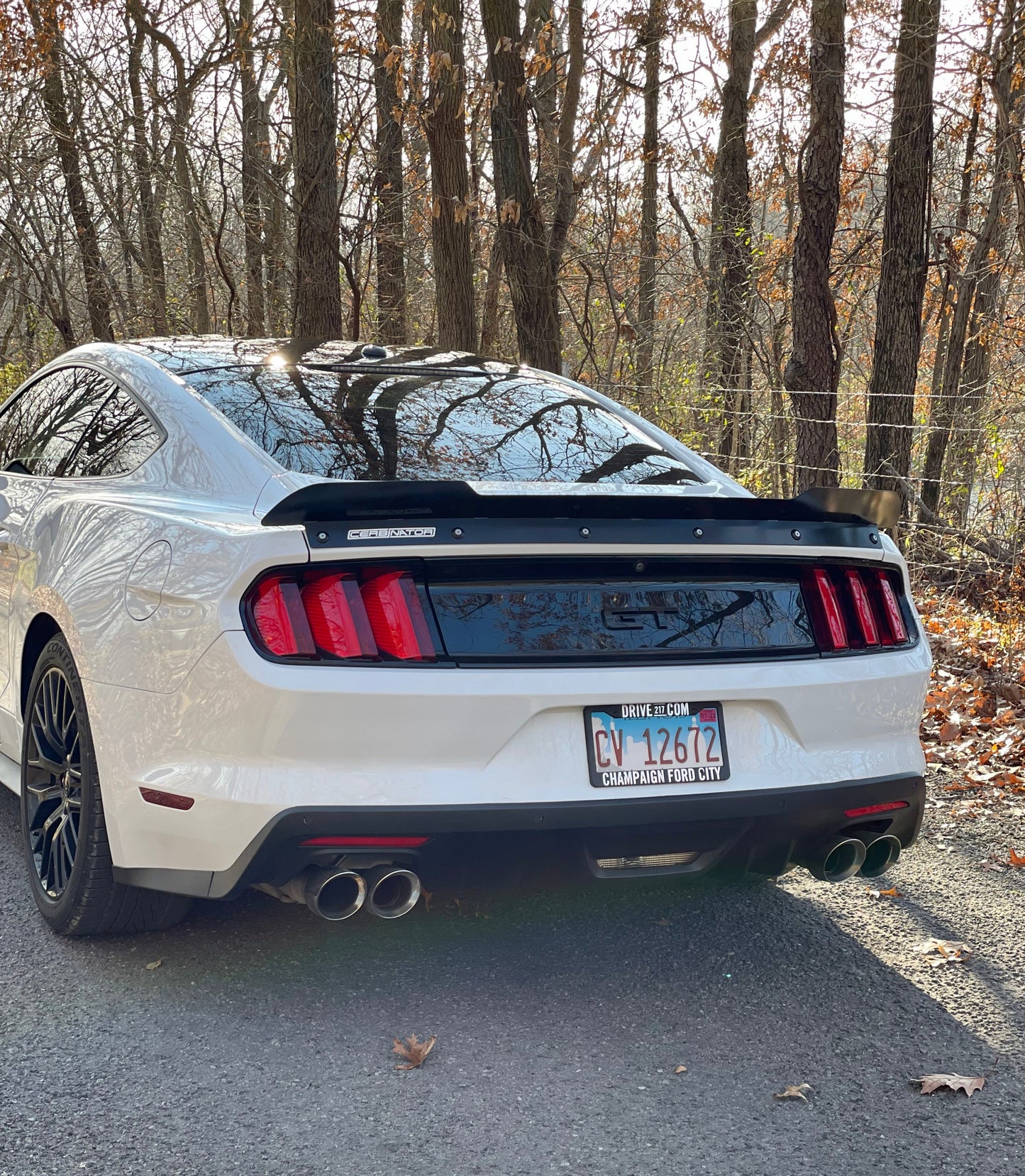 2015-2023 S550 Mustang Rear Spoiler (Welded Version)