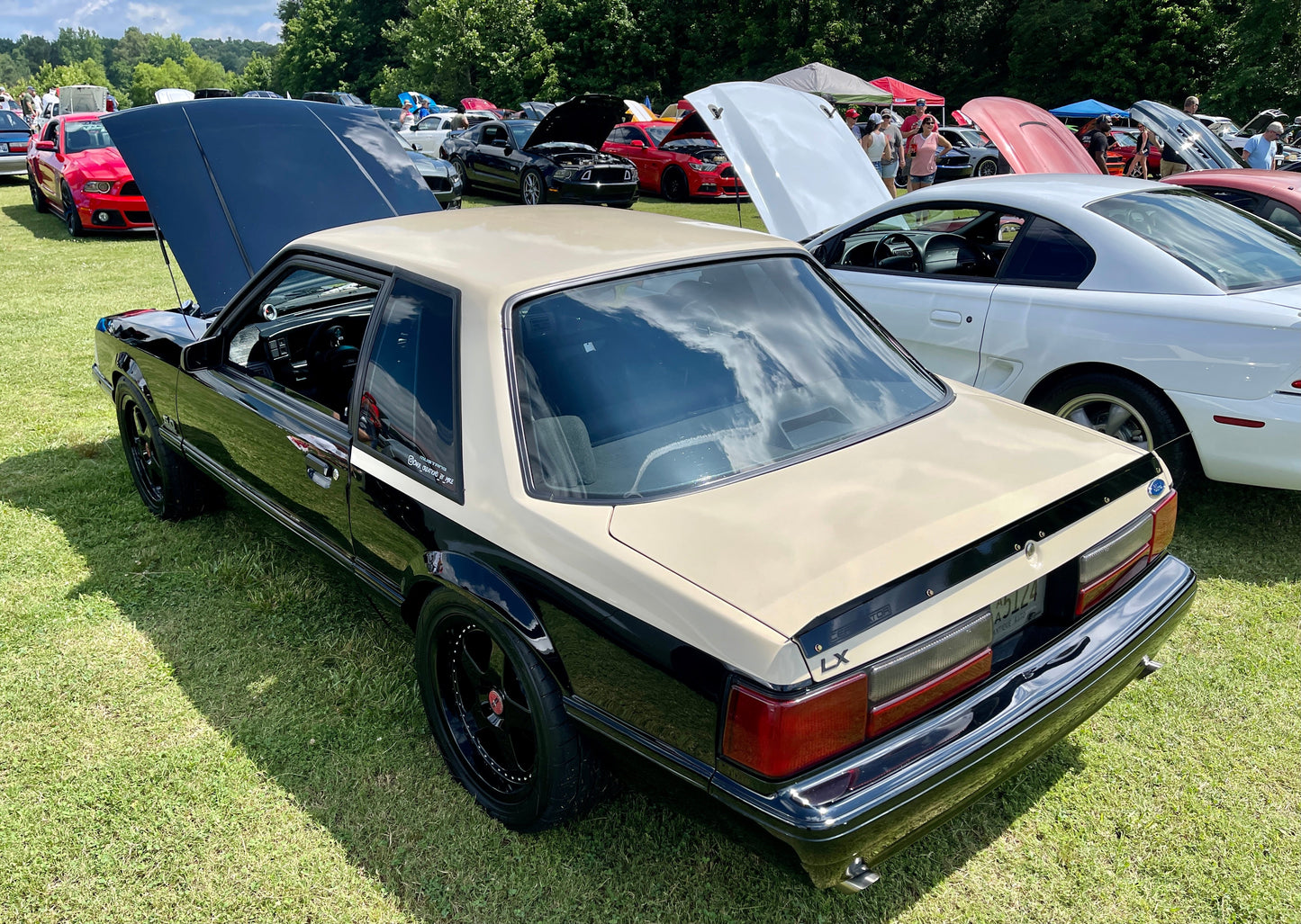 79-93 Mustang Coupe/Convertible Ducktail Spoiler (Welded Version)