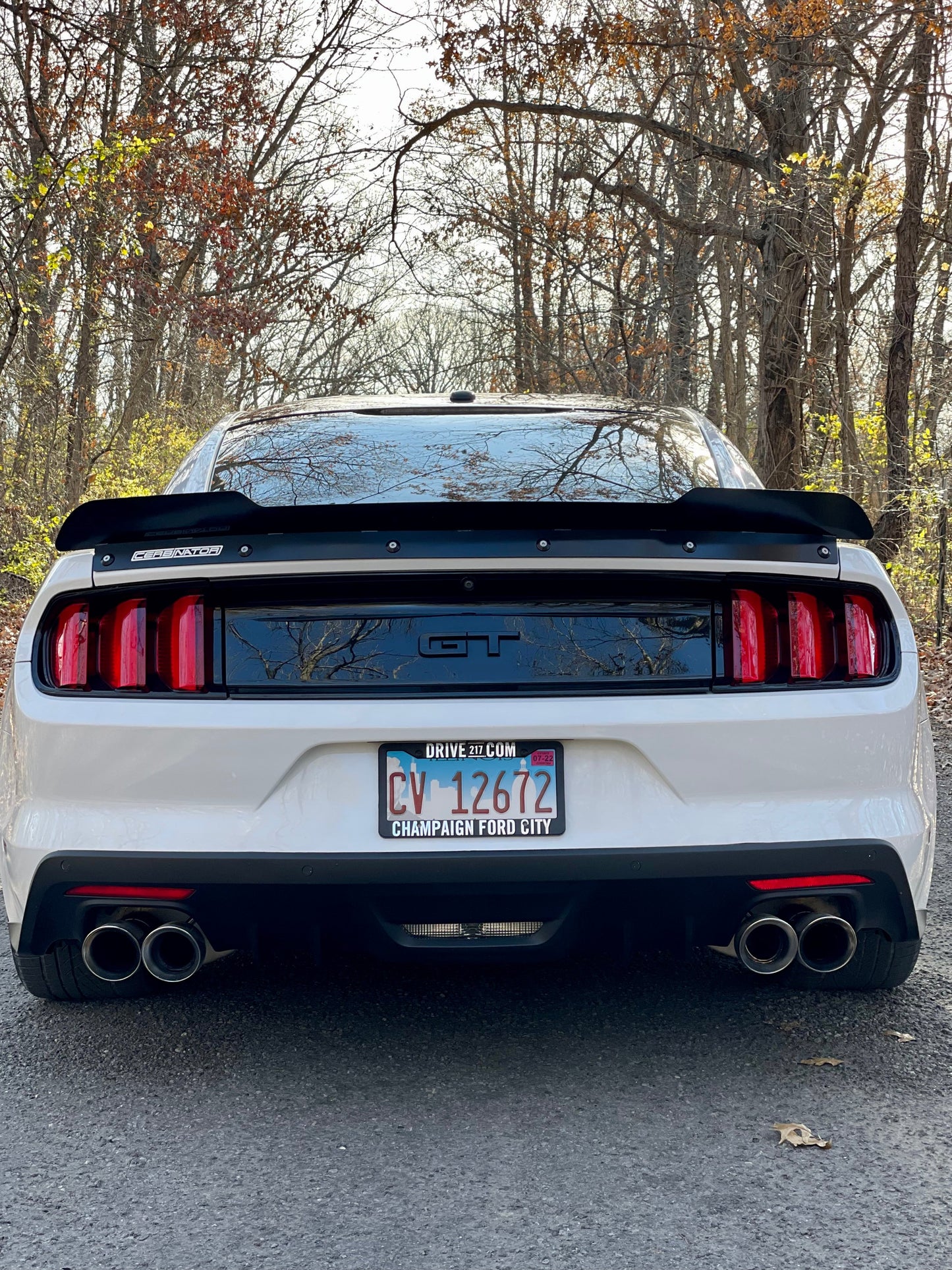 2015-2023 S550 Mustang Rear Spoiler (Welded Version)