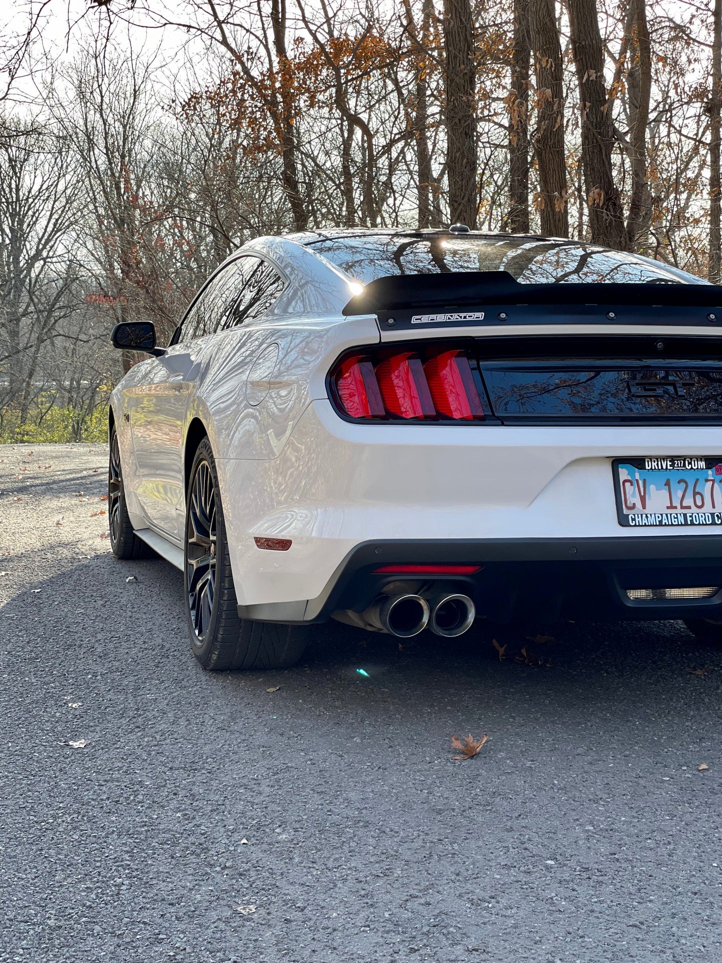 2015-2023 S550 Mustang Rear Spoiler (Welded Version)