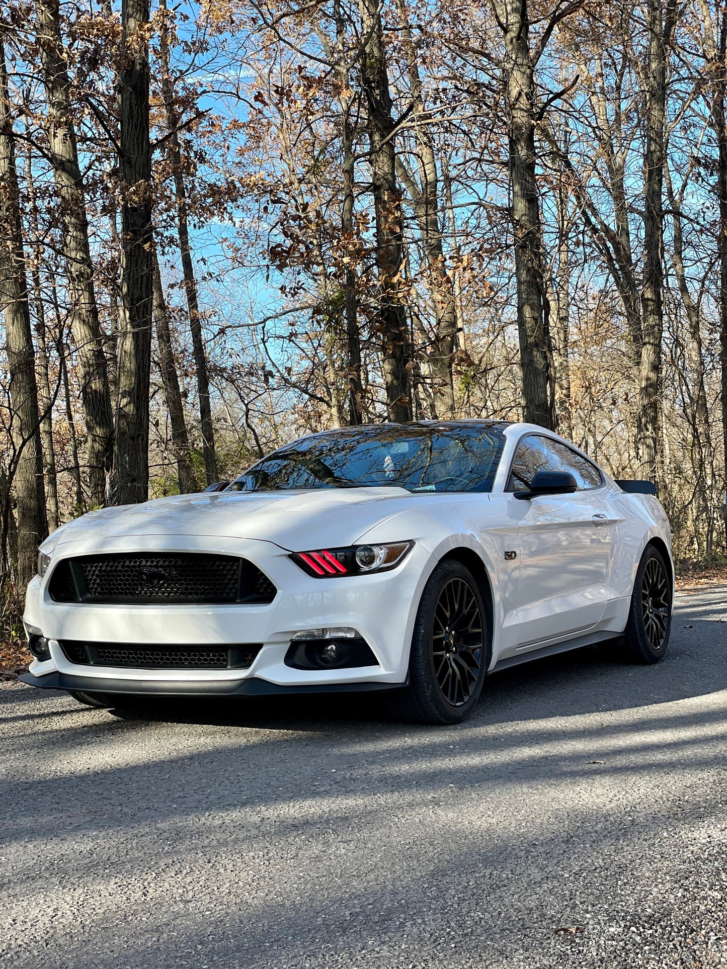 2015-2023 S550 Mustang Rear Spoiler (Welded Version)